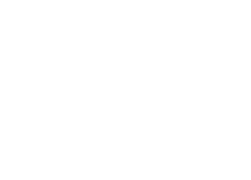 Saudi Panther Logo